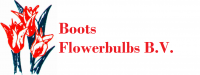 Boots Bloembollen export