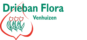 Drieban Flora Venhuizen