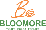 Bloomore
